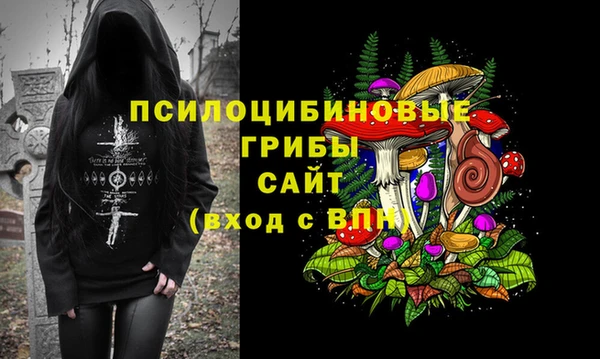 крисы Алексин